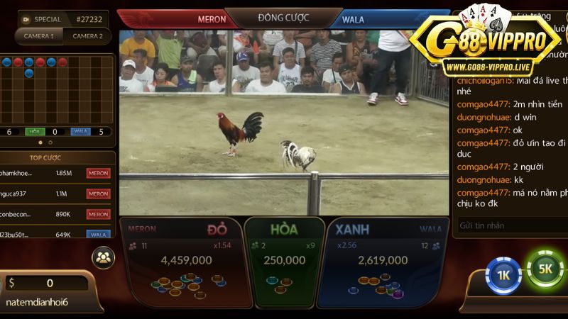 Cách tham gia chơi đá gà live trực tiếp Cách tham gia chơi đá gà live trực tiếp