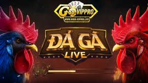 Giới thiệu về sân chơi đá gà trực tiếp Thomo tại Go88