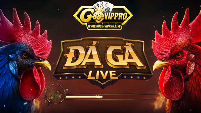 Giới thiệu về sân chơi đá gà trực tiếp Thomo tại Go88