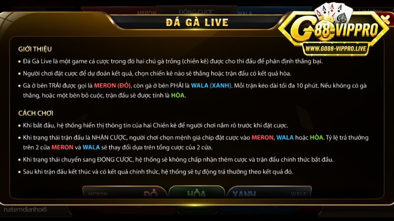 Luật chơi đá gà live trực tiếp tại Go88 chi tiết Luật chơi đá gà live trực tiếp tại Go88 chi tiết